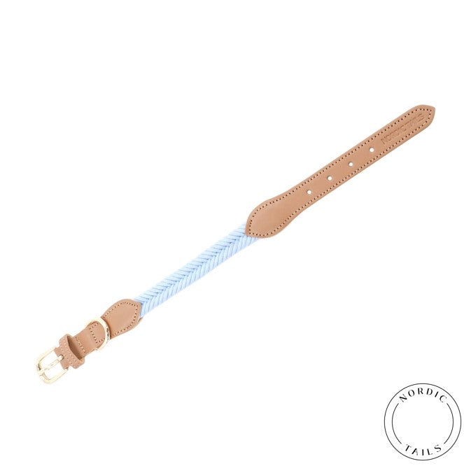 Koiran kaulapanta, vaaleansininen