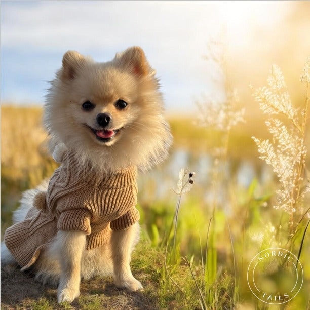 Neule pompom, beige