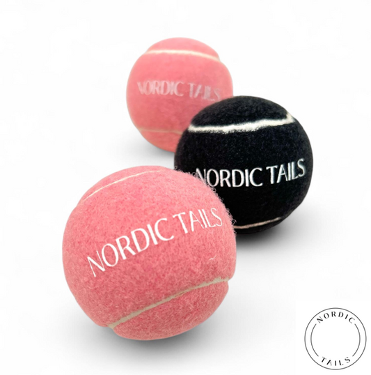 Leikkipallo koiralle