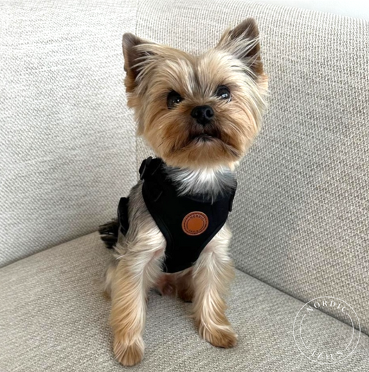 Kevyet, pienen koiran valjaat