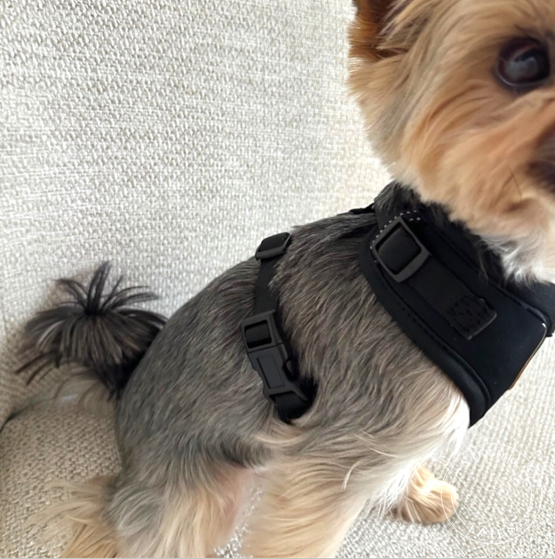 Kevyet, pienen koiran valjaat