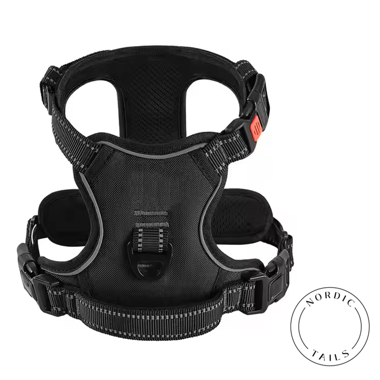 Koiran heijastavat valjaat, musta