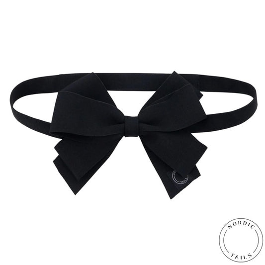 Musta koiran rusettipanta